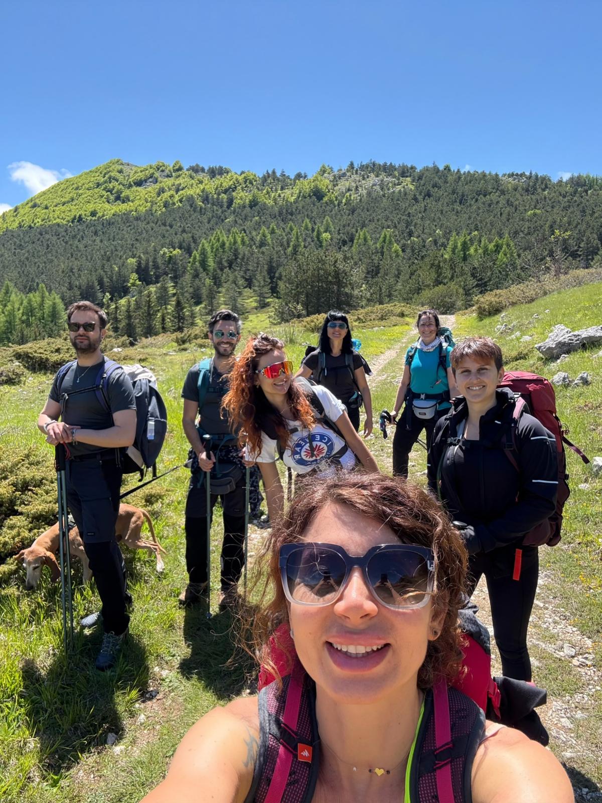 Panorama di montagna